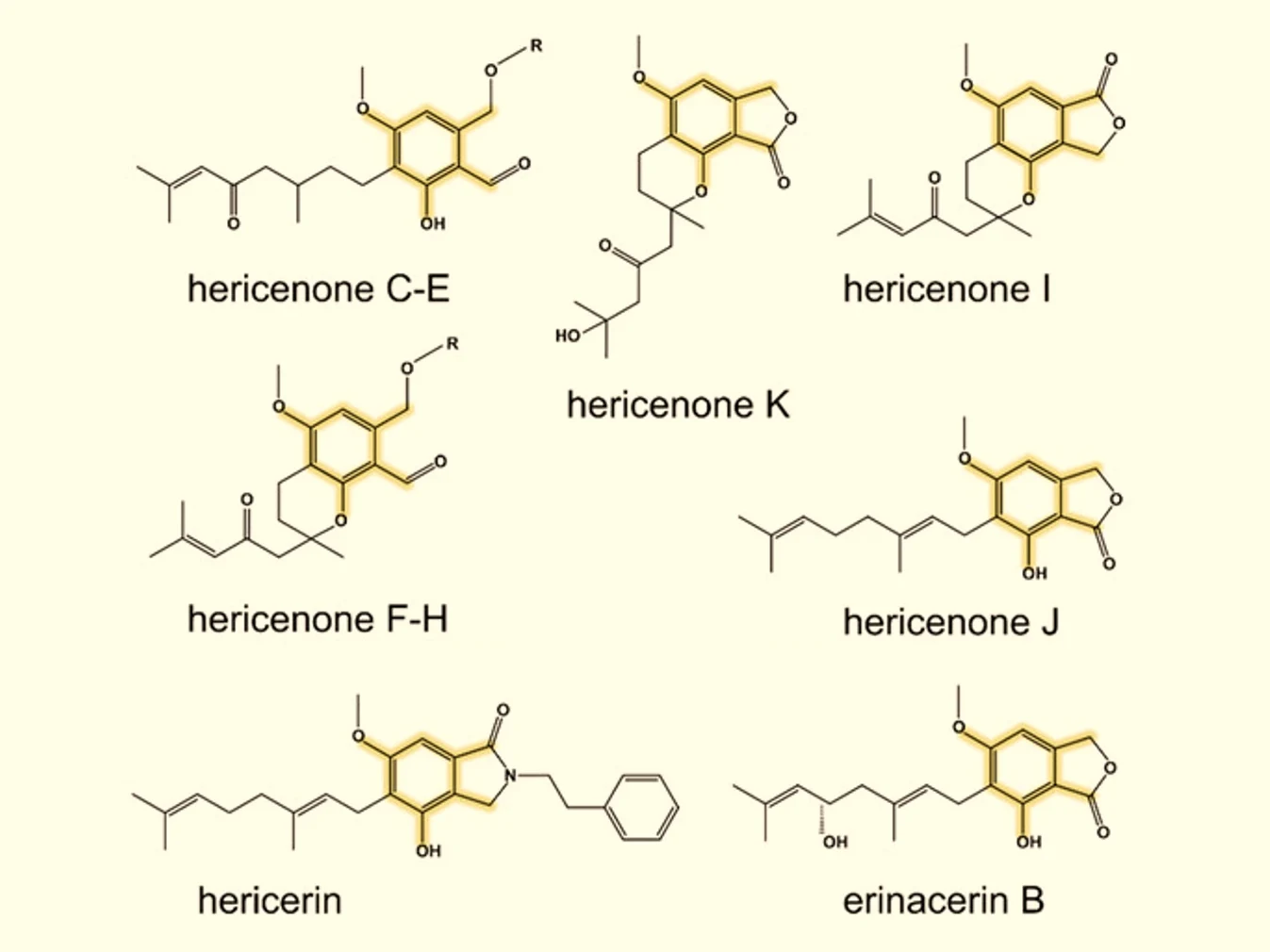 Cover image for the Bioshroom article "Lions Mane Testing: Why We Spent a Year Learning How to Measure Hericenones"